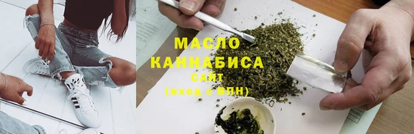 индика Армянск