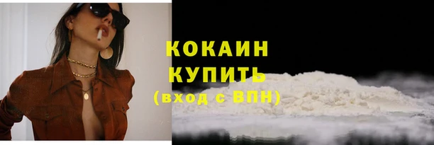 шишки Россошь