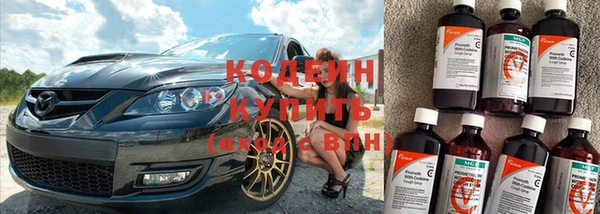 гашик Арсеньев