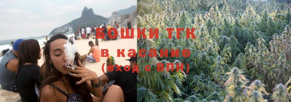 гашик Арсеньев