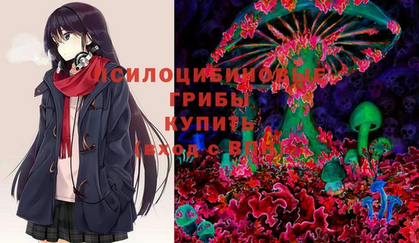 индика Армянск