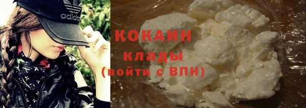 гашик Арсеньев