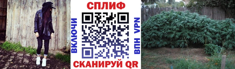 Канабис тримм  Малоярославец 